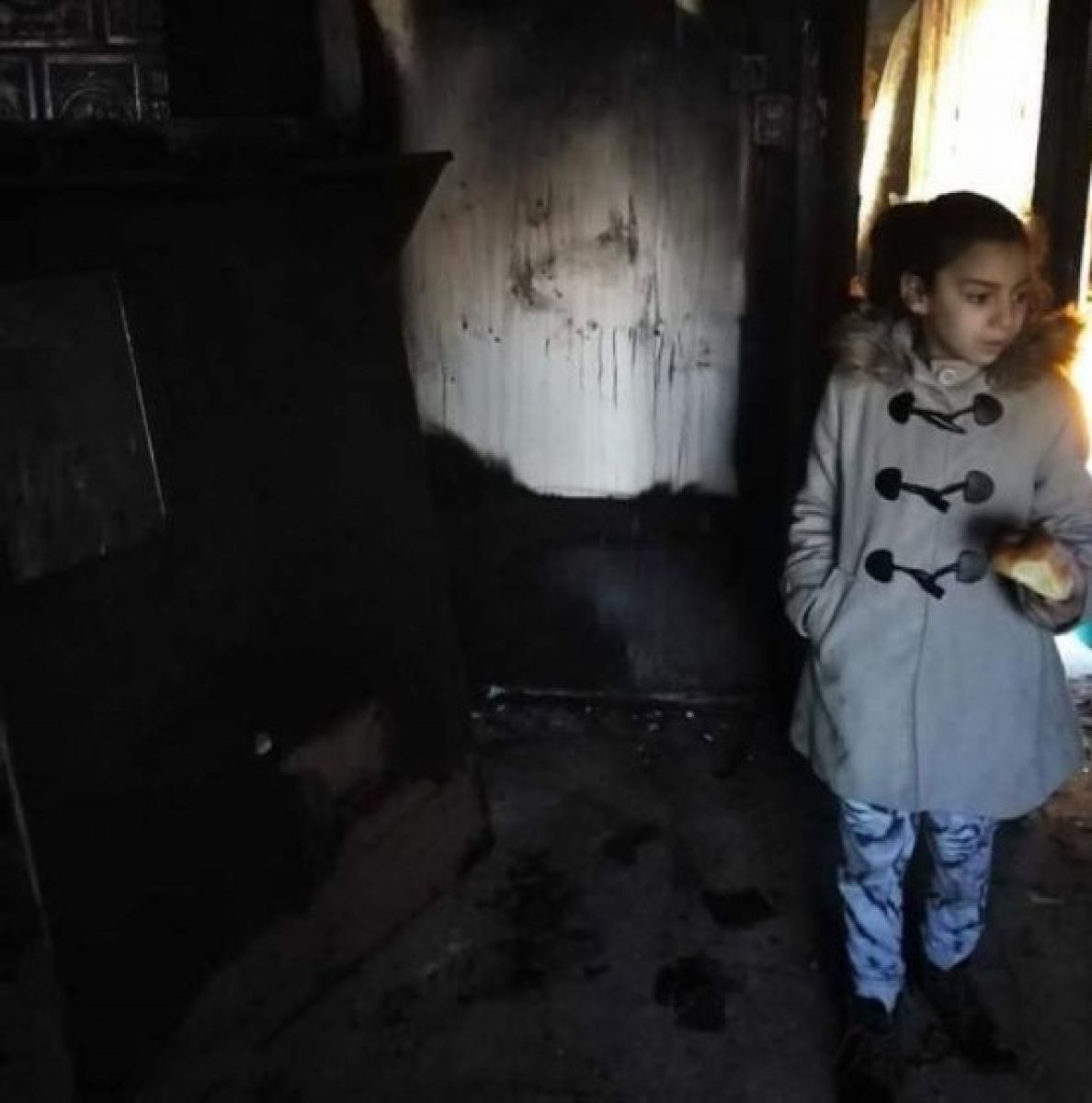 Declarația zilei 27 ianuarie 2020