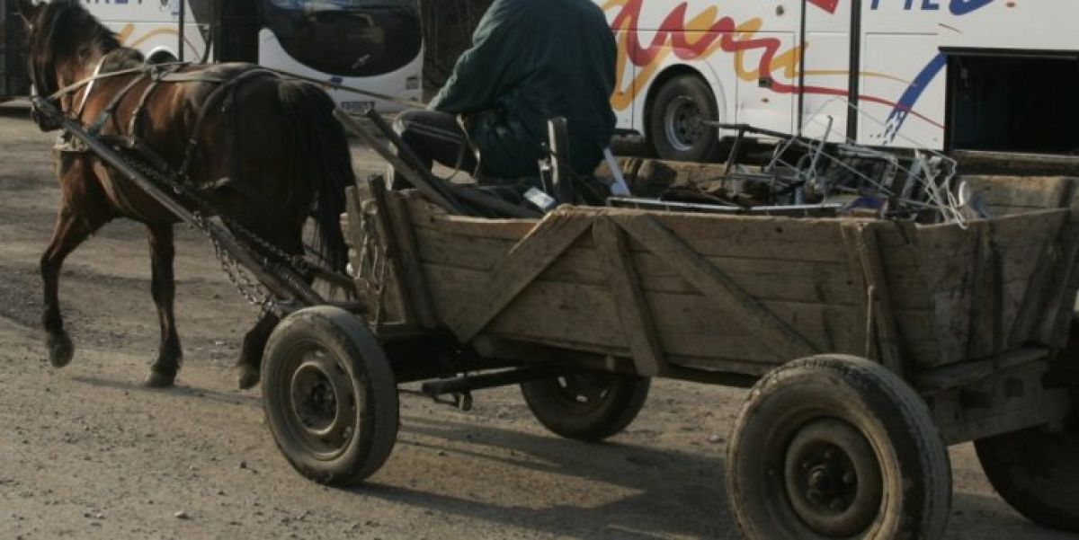 Marțea neagră pentru zeci de căruțași din județ: Amenzile trec de 34.000 de lei