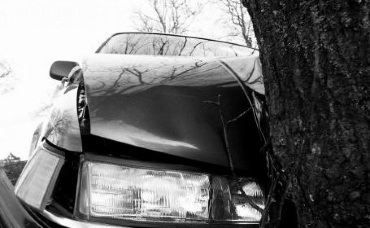 Beat la volan, a nimerit… copacul de pe marginea drumului