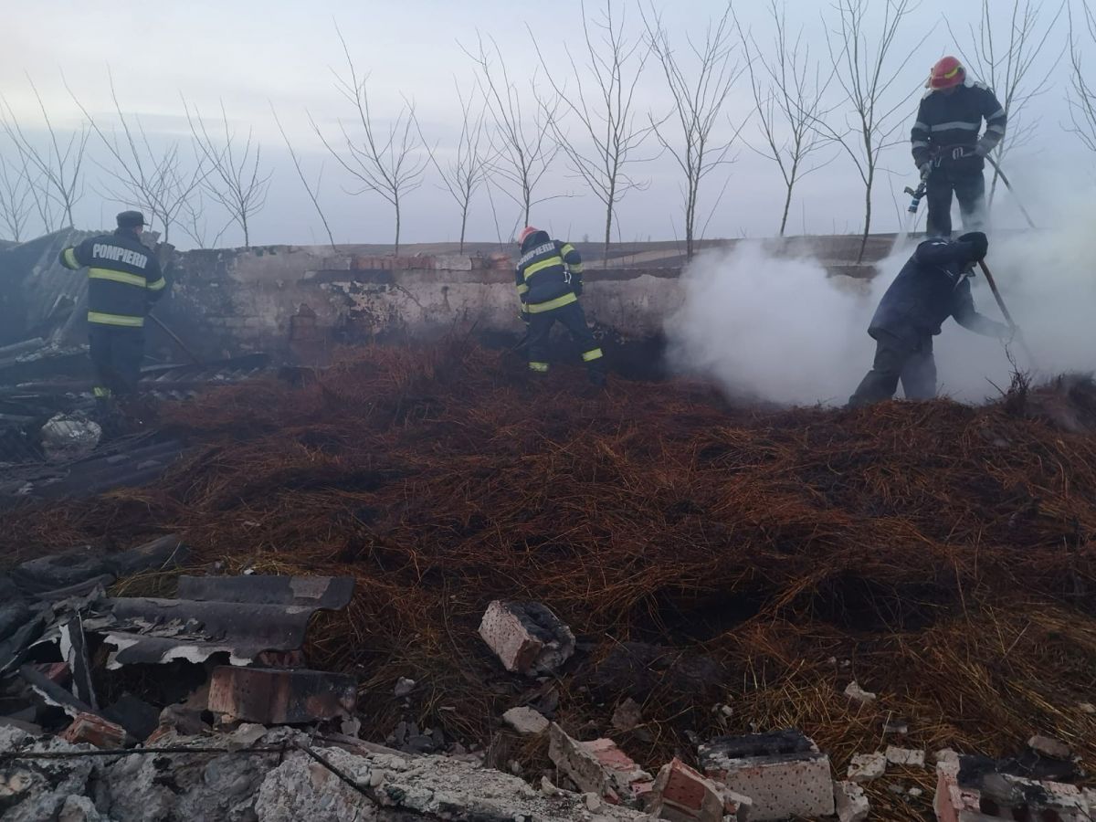 AMENZI uriașe anunțate de ministru pentru cei care dau foc aiurea pe câmp