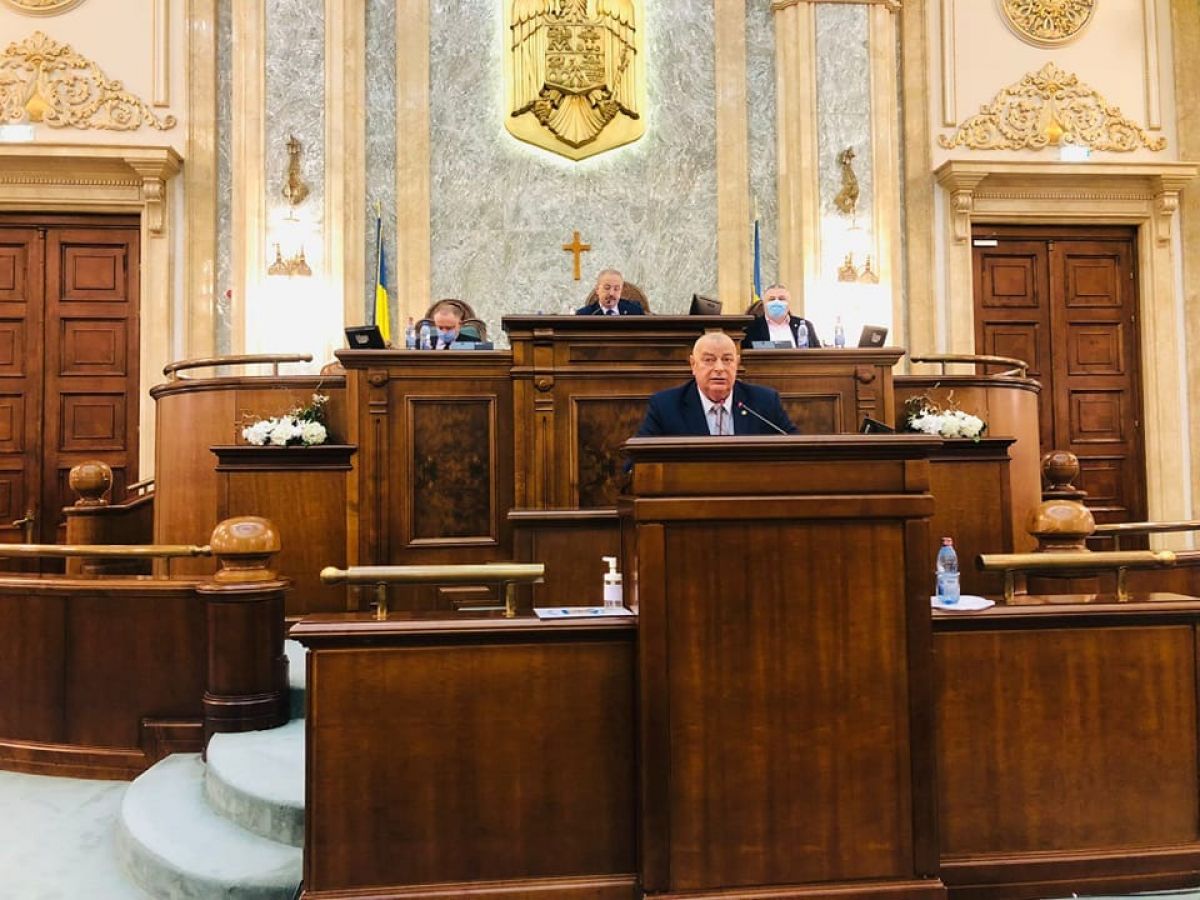 Senatorul AUR, declarație în plen: Mai poate face România față unui nou val de scumpiri la alimente și energie?