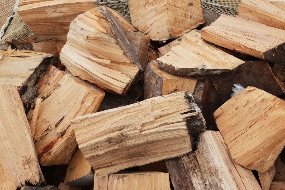 Declarația zilei 8 martie 2023 