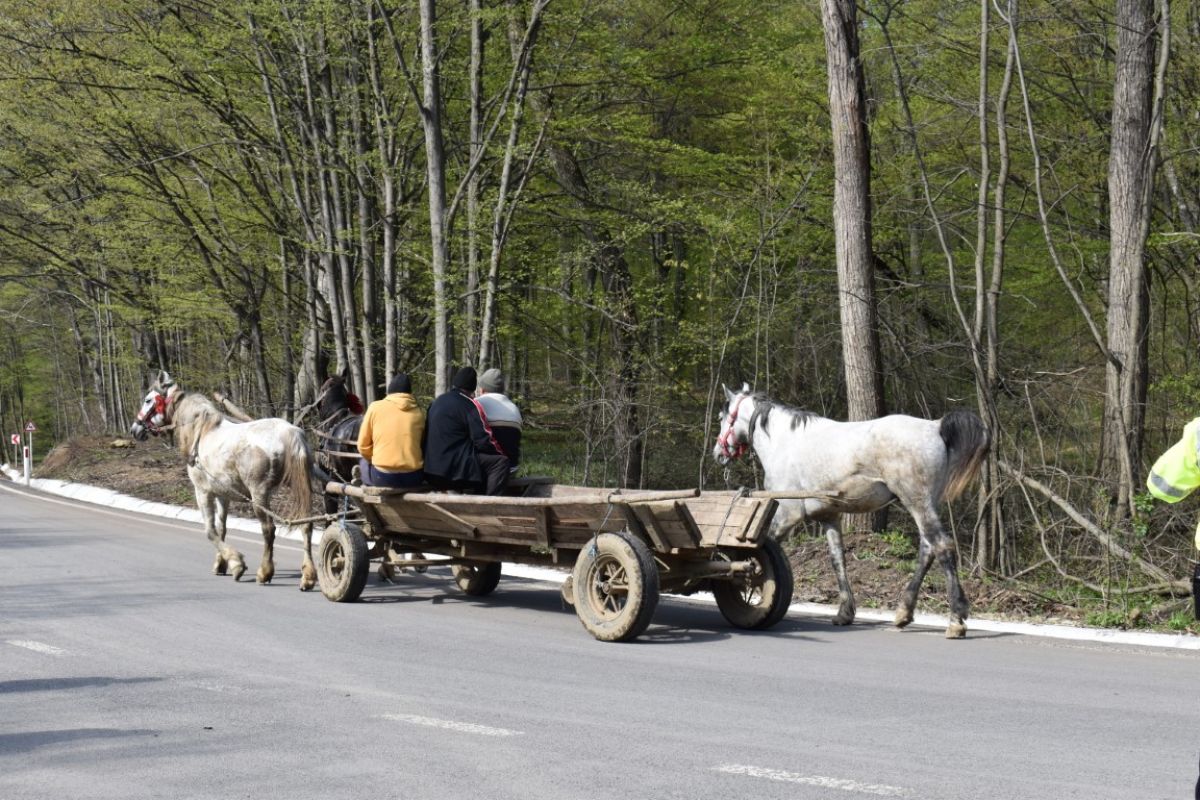 Poza zilei 25 aprilie 2023