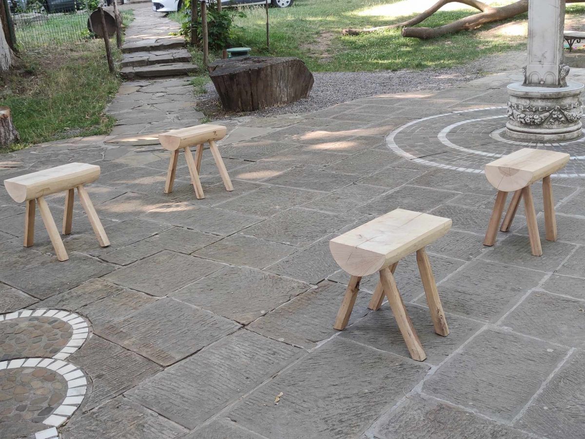 Poza zilei 31 iulie 2023