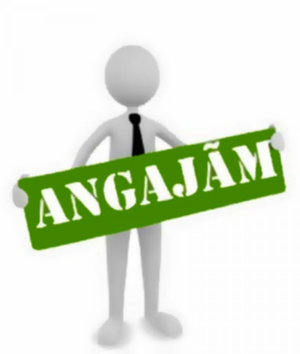 ANUNȚ: ELPRO angajează manager proiect și coordonator lucrări electrice