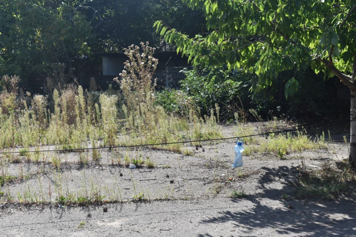 USR solicită demiterea președintei Consiliului Județean Botoșani