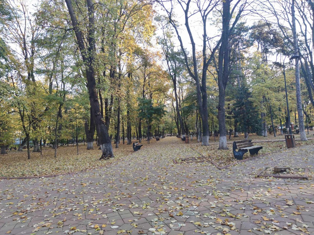 O lună cu vreme neobișnuită! PROGNOZA actualizată de meteorologi