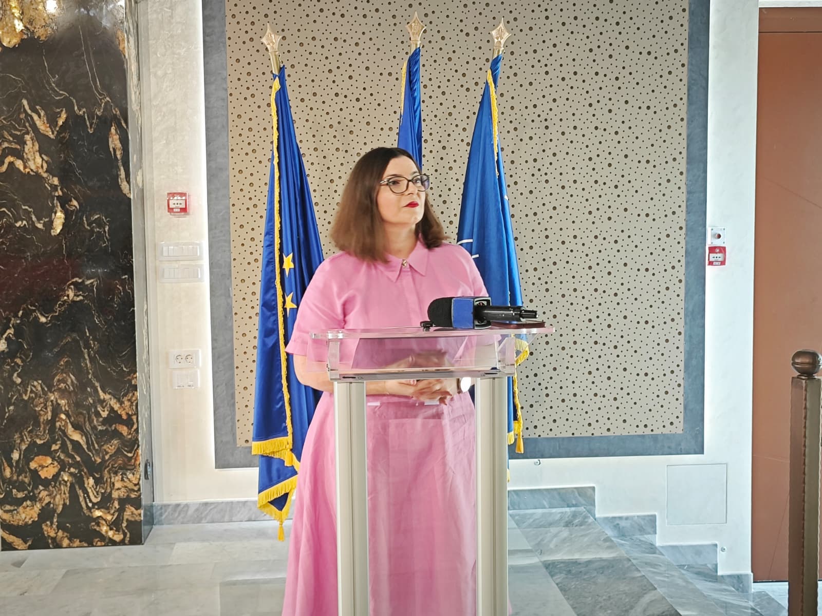 prefectul raluca curelariu