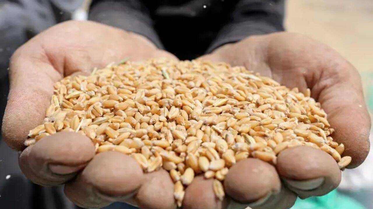 pret la grâu