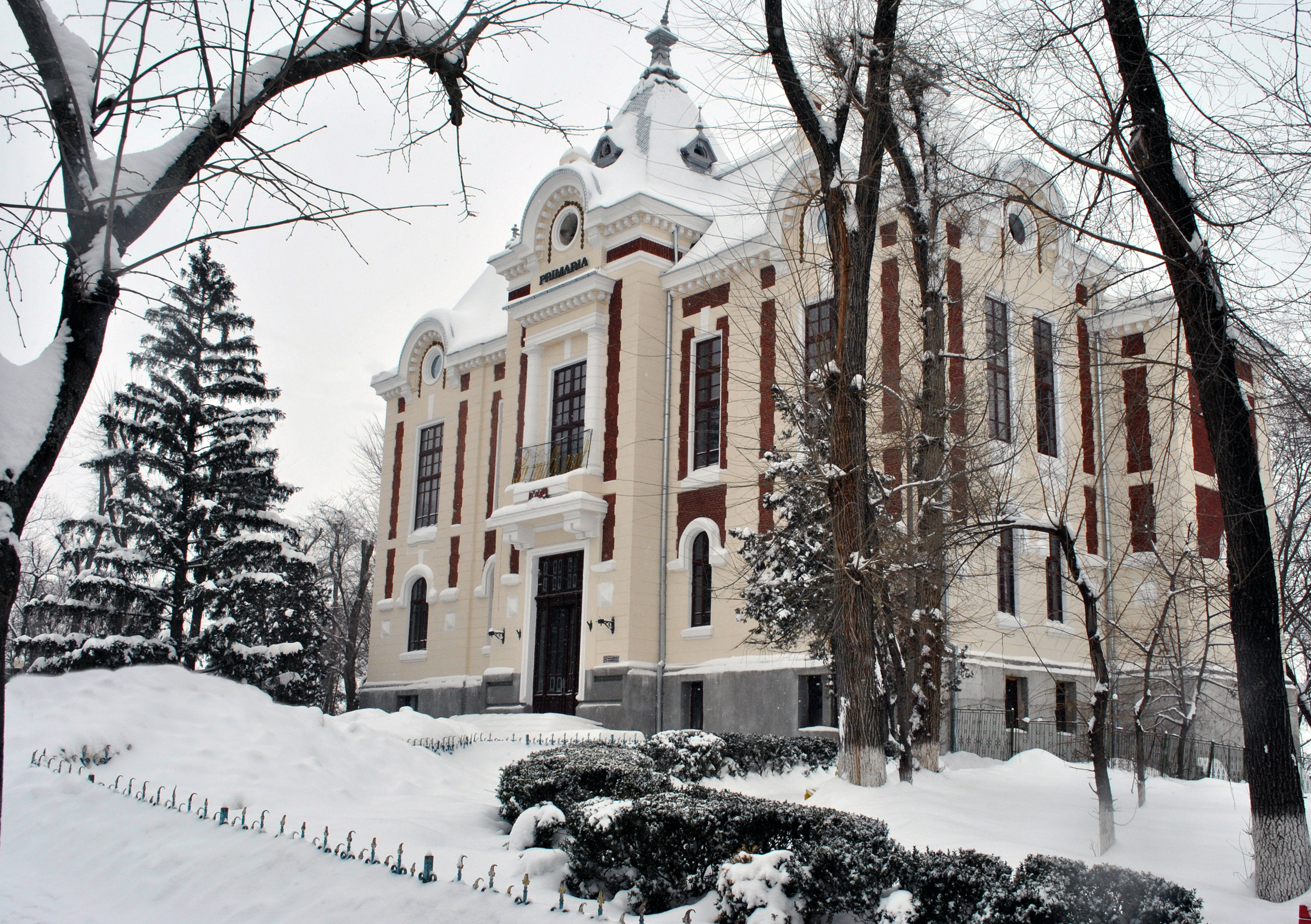 Taximetriștii dau în judecată Primăria Dorohoi: Ne râdeau în nas toți de acolo 