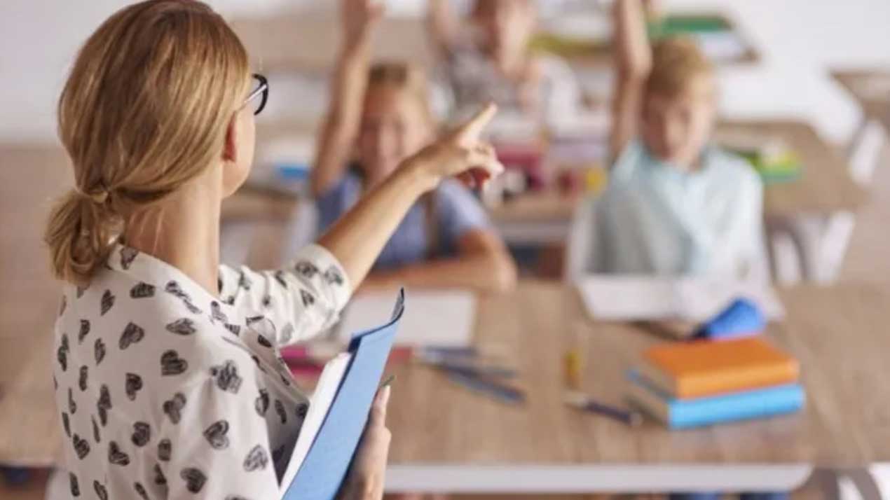 profesori de top botosani