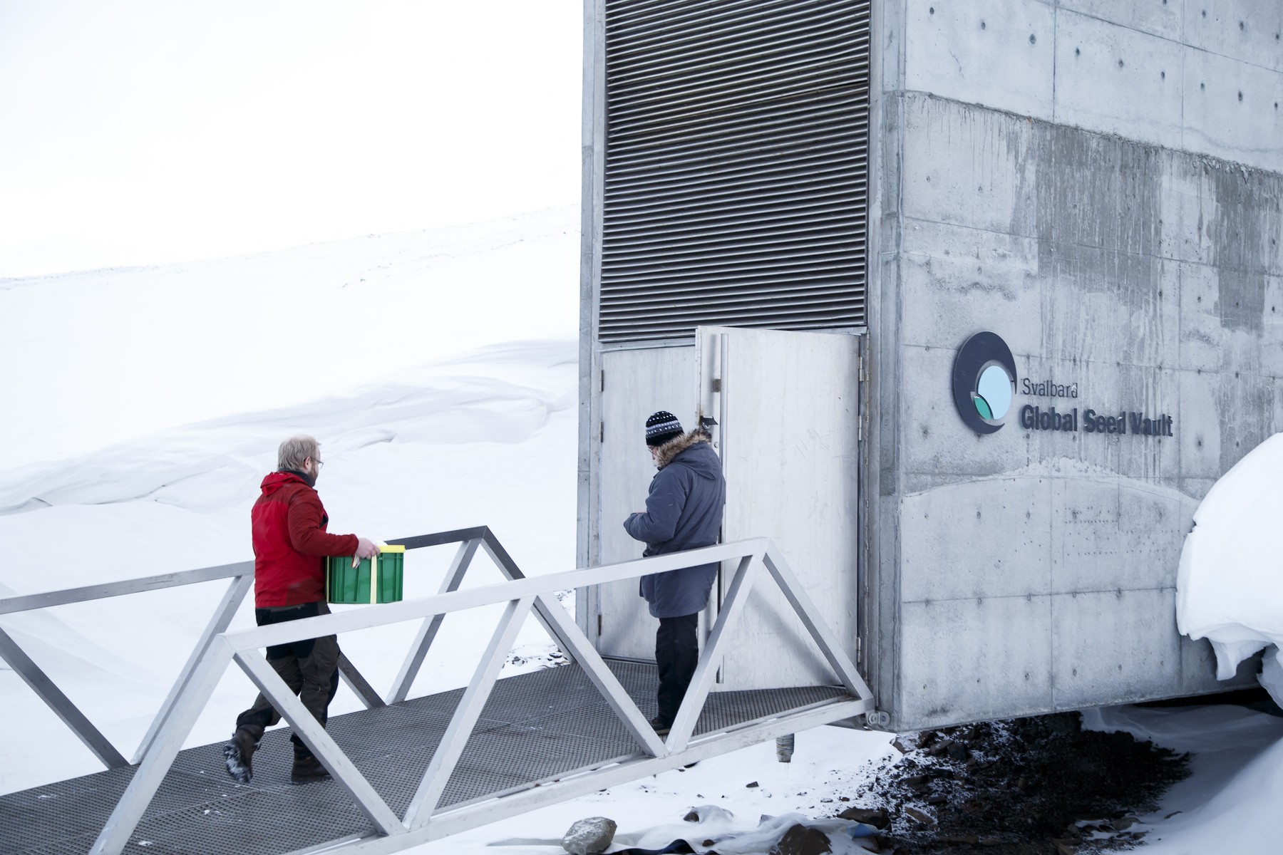 Cercetătorii cred că o plantă rară din Antarctica poate deține cheie culturilor rezistente la condiții extreme