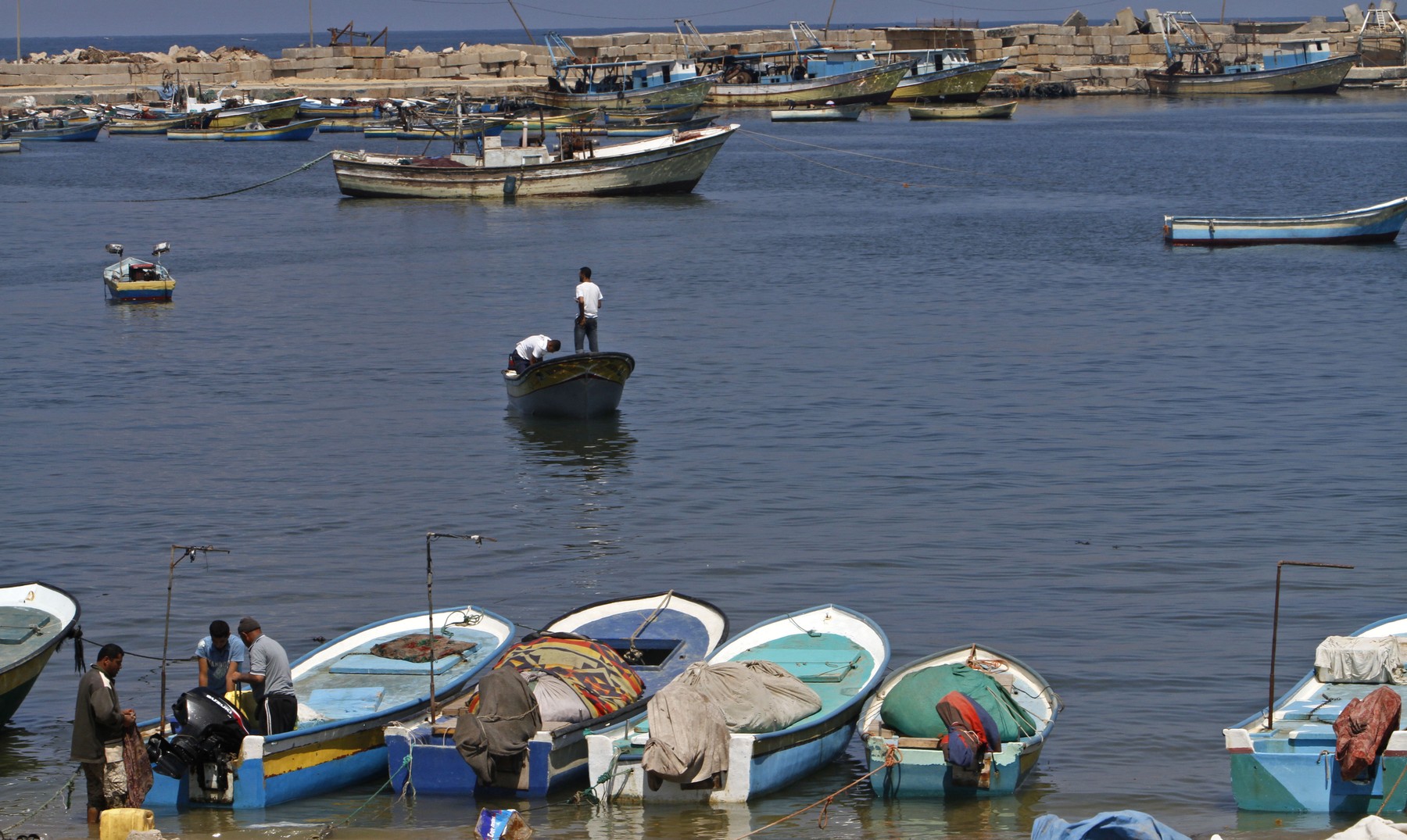 „Mediterana grecilor din Antichitate este pierdută pentru totdeauna”. Apele tot mai calde ale Mării Mediterane atrag sute de specii invazive