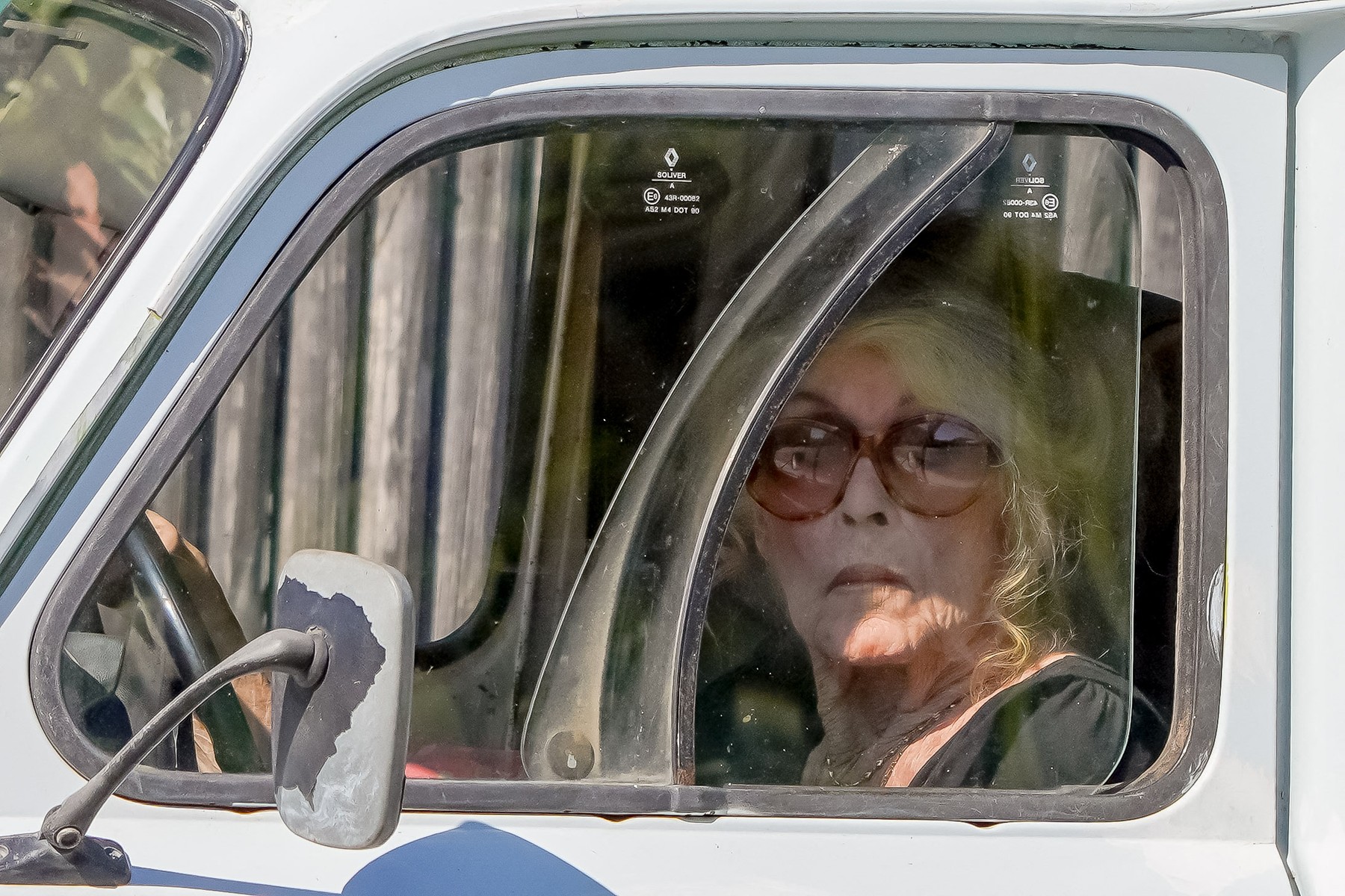 Brigitte Bardot, reacție vehementă după zvonurile privind „dispariția” sa: „Nu știu cine este idiotul care a lansat acest fake news”