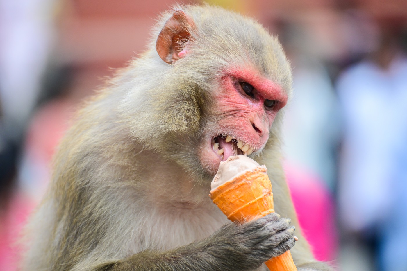 China a creat un computer care gândește ca o maimuță: Combină gândirea cu funcții de vedere, auz și limbaj