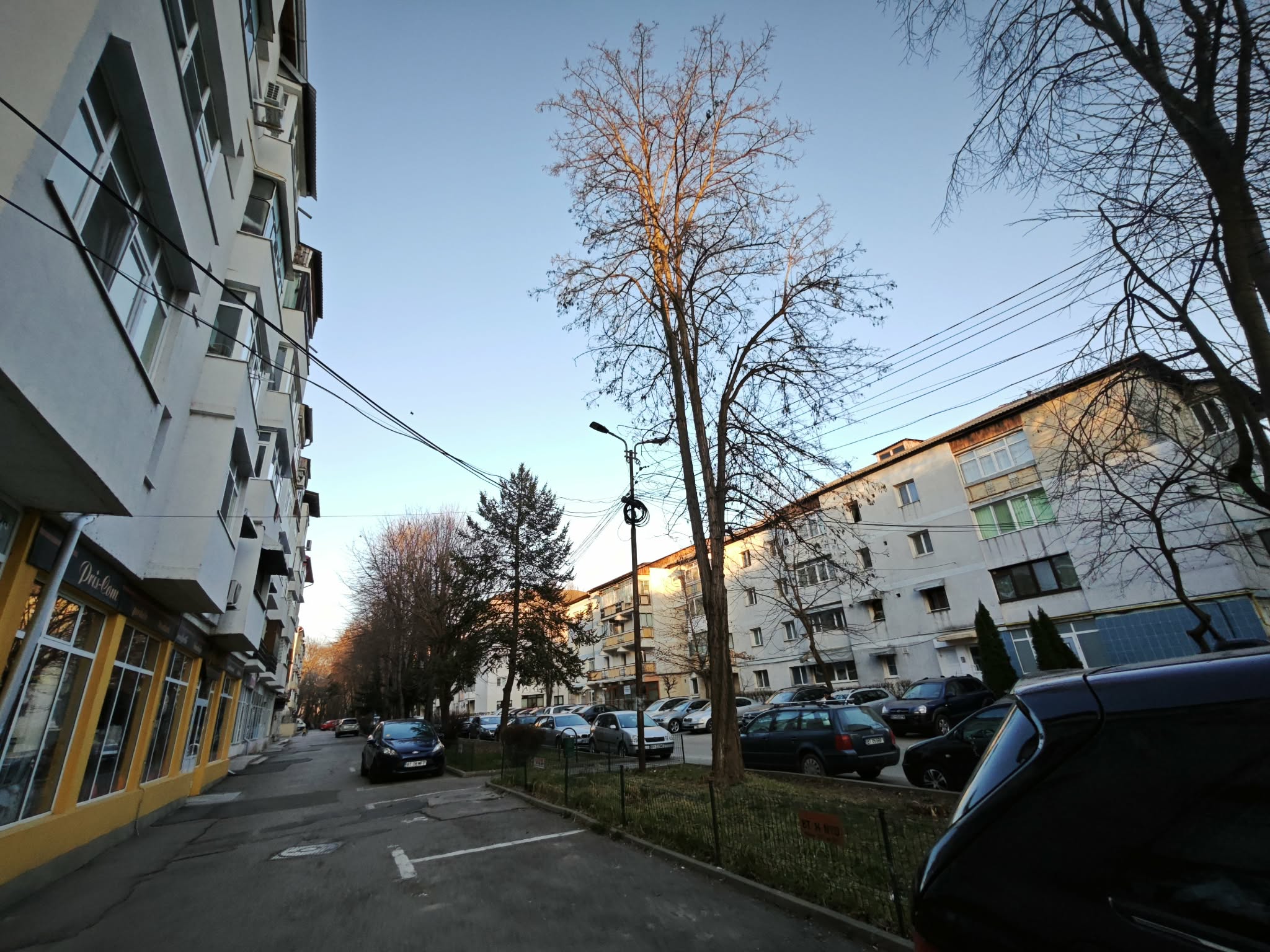 prognoza meteo de pasti