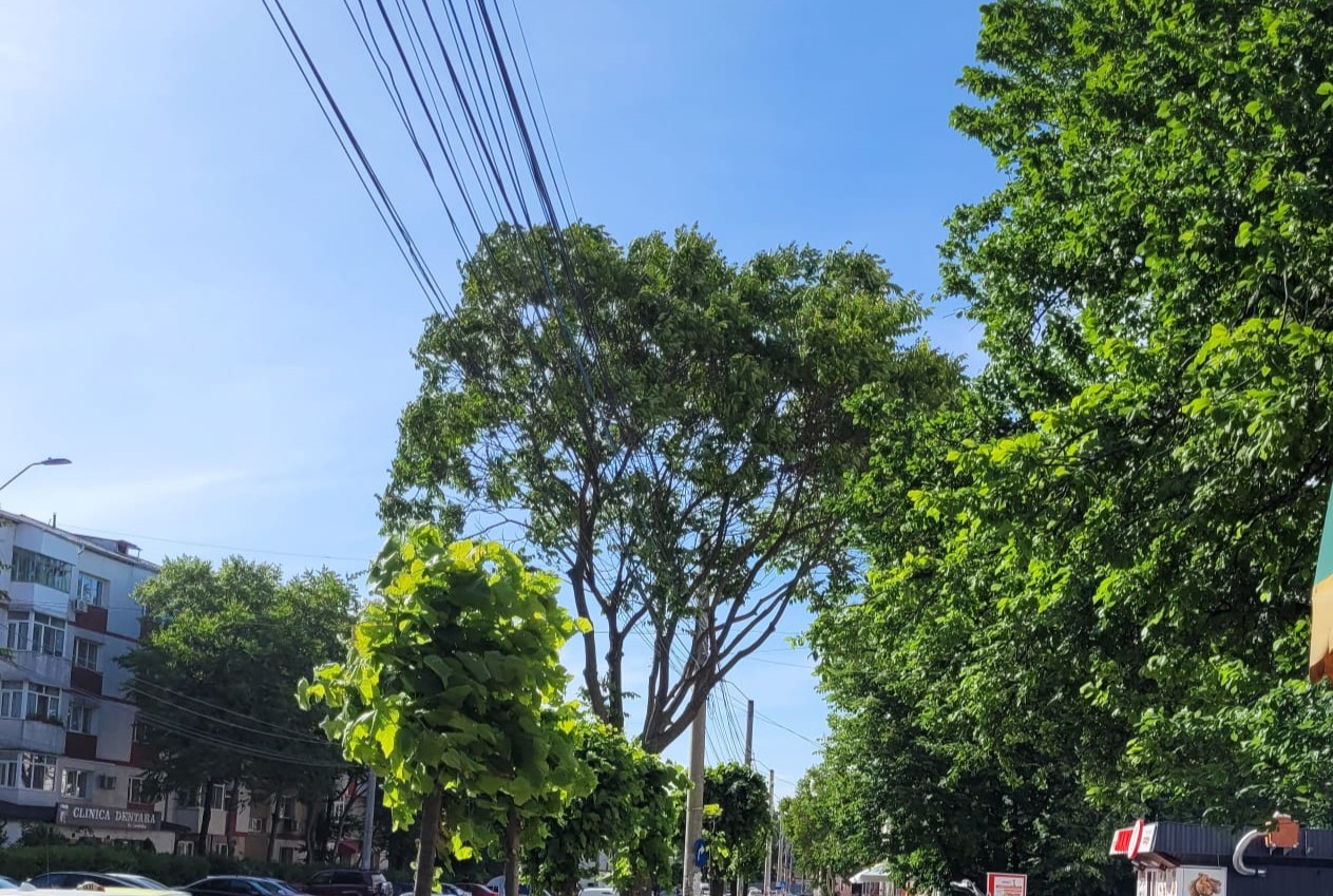 Vine vara: PROGNOZA meteo pentru următoarele patru săptămâni