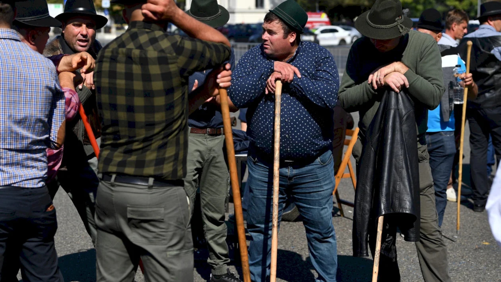 protest oieri.