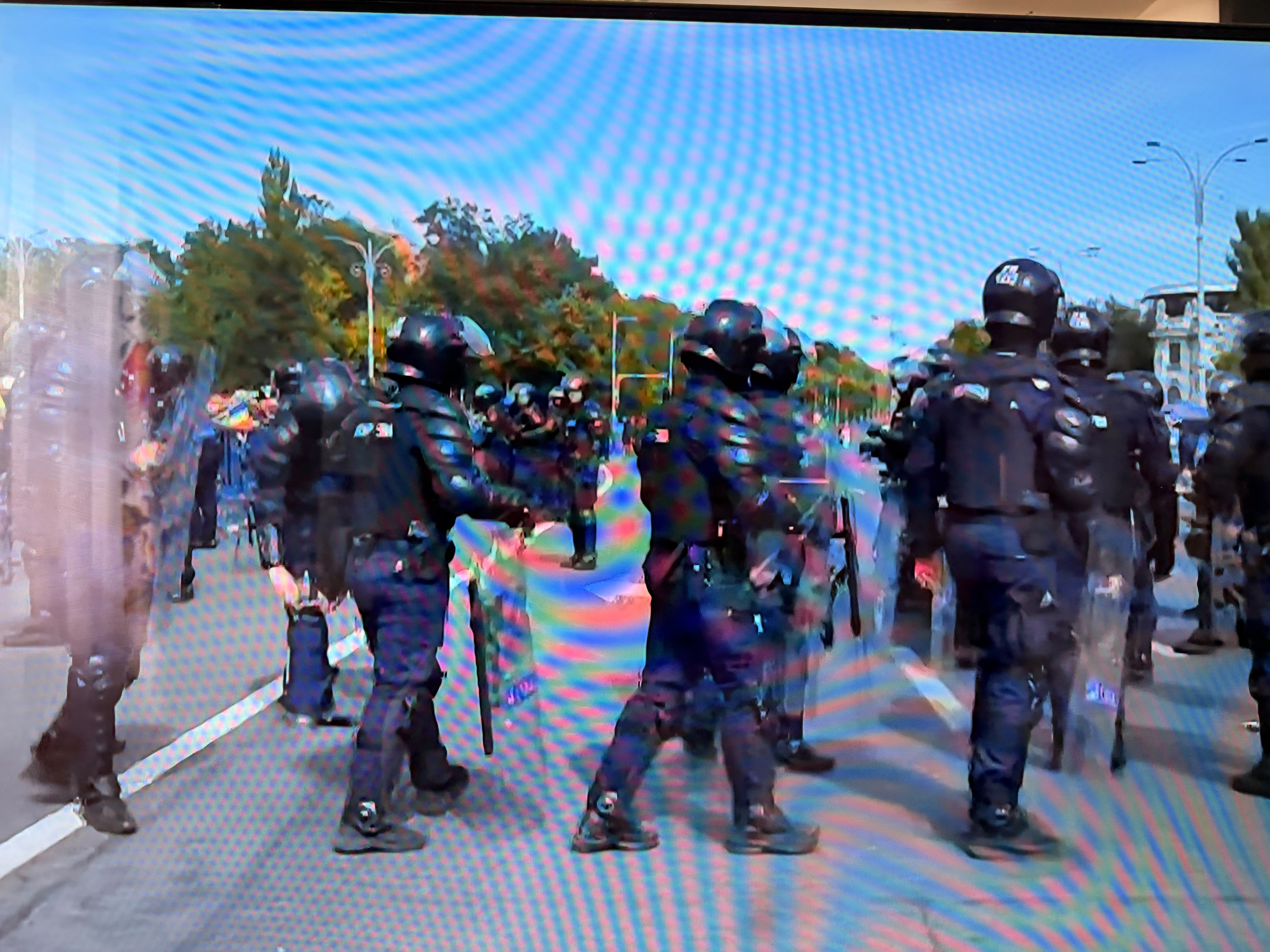protestul oierilor