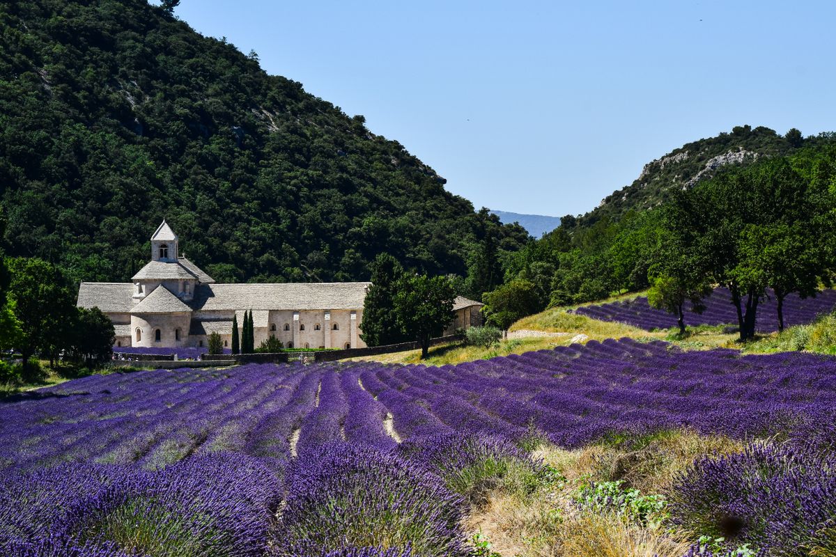 Provence, Alsacia sau Coasta de Azur_ Trei feluri de a gusta vara franțuzească în 2026