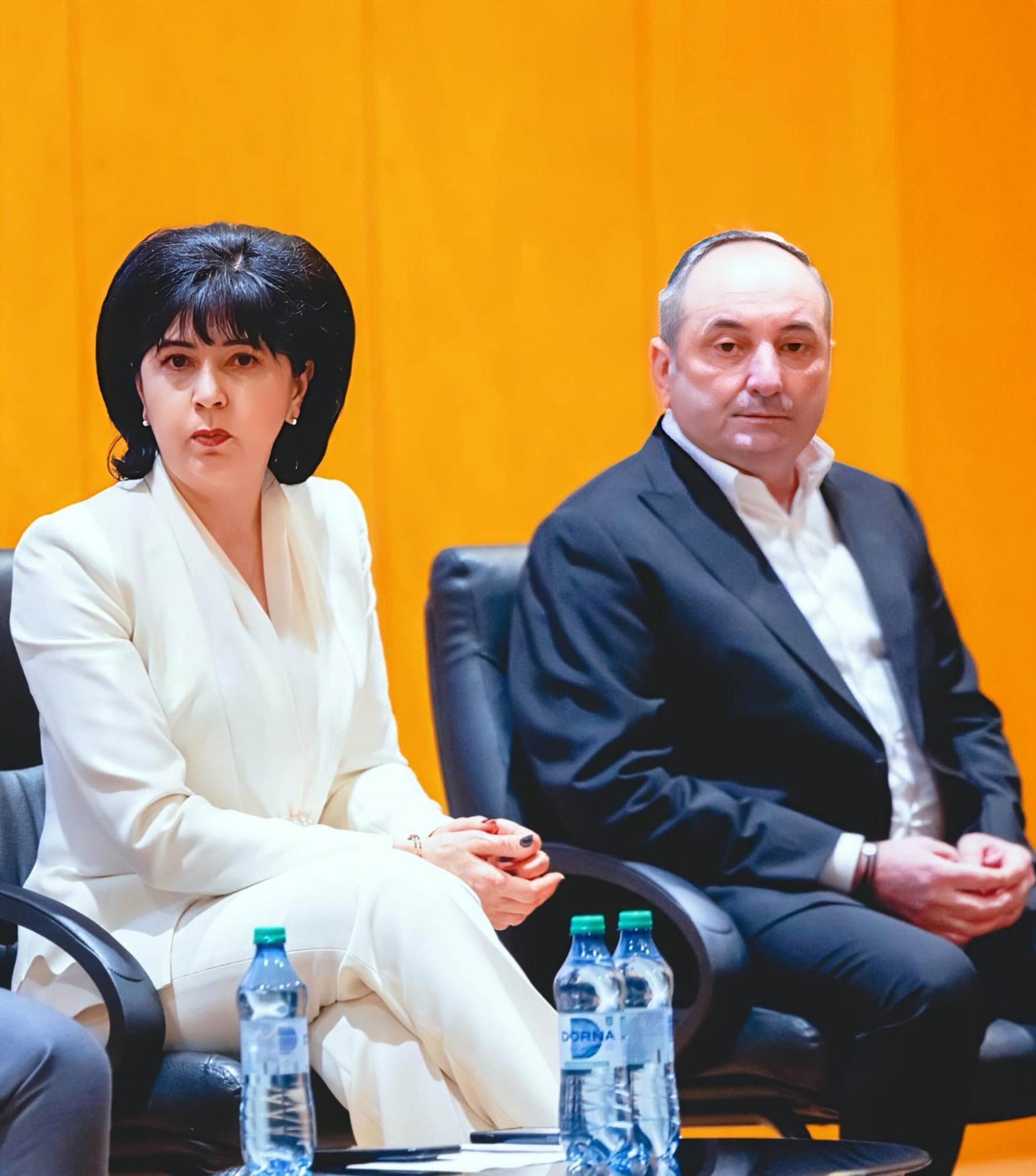 psd botosani critici guvernul bolojan