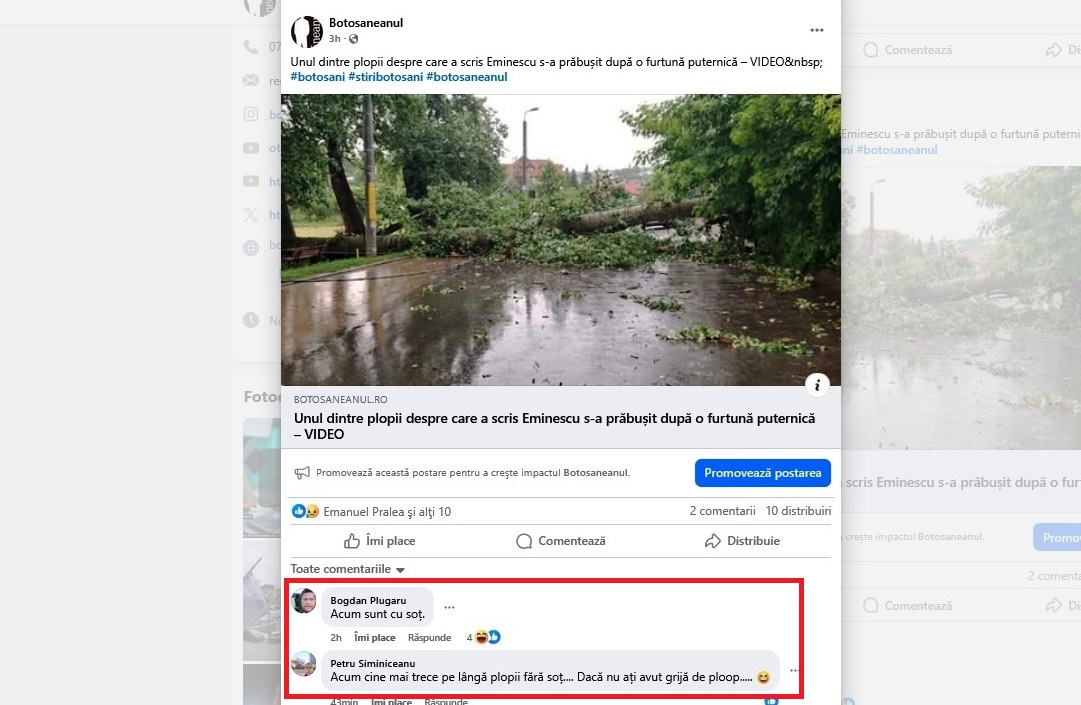 Poza zilei 13 iunie 2025