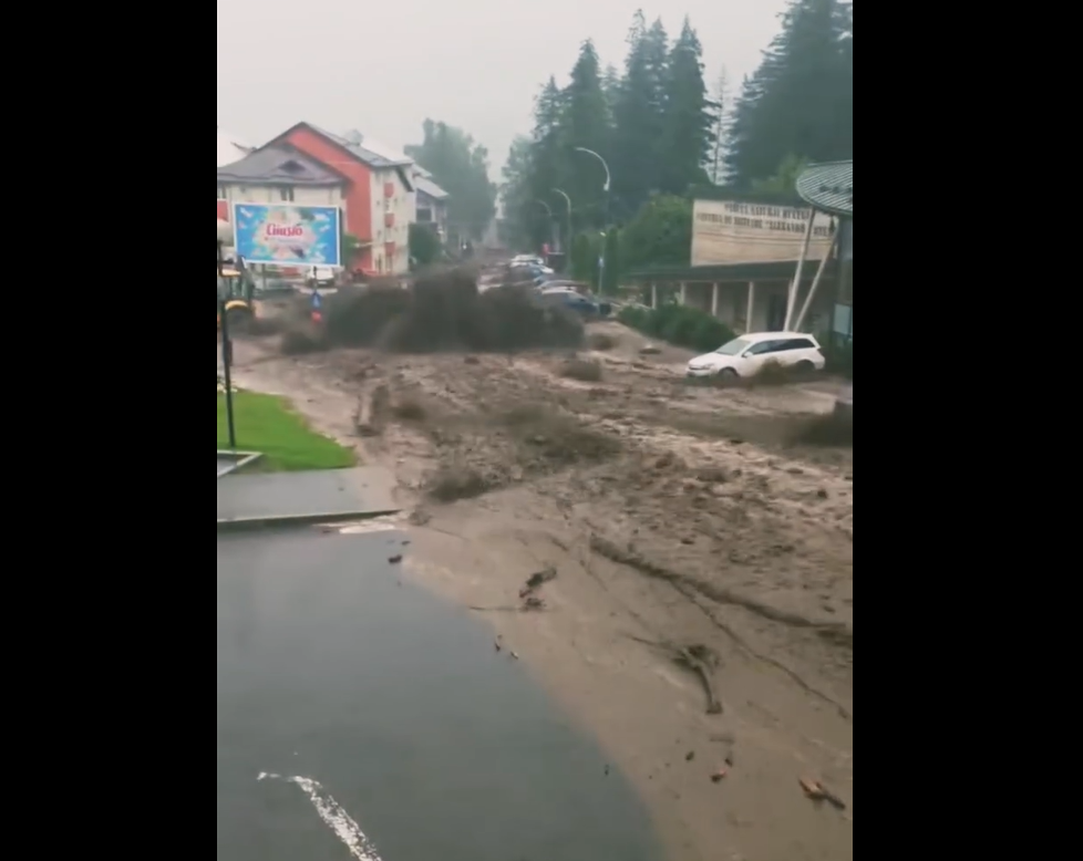 ravagii la suceava