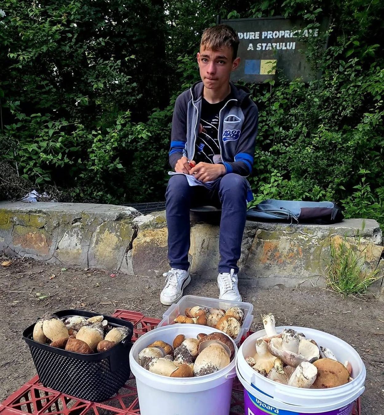 Razvan, baiatul care vinde hribi.jp