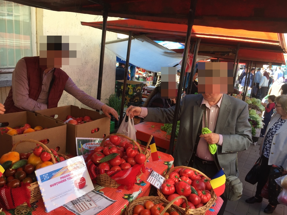 rosii la botosani.