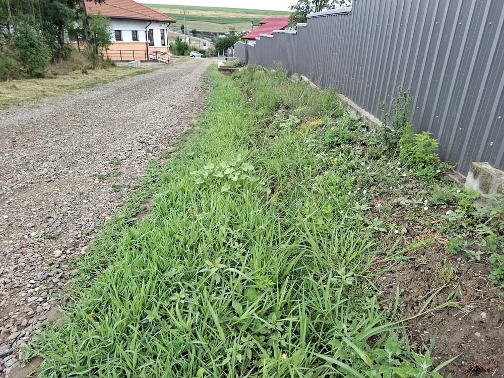 CUM ajung botoșănenii să-și facă rău cu mâna lor: Stau și plâng că le-a intrat apa în casă