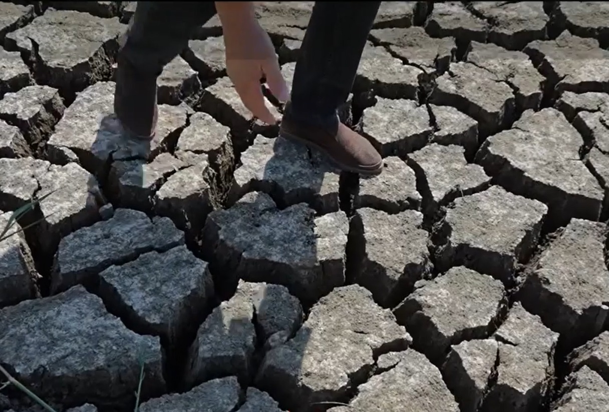 Mii de botoșăneni afectați de secetă: La 58 de ani ai mei, nu am întâlnit