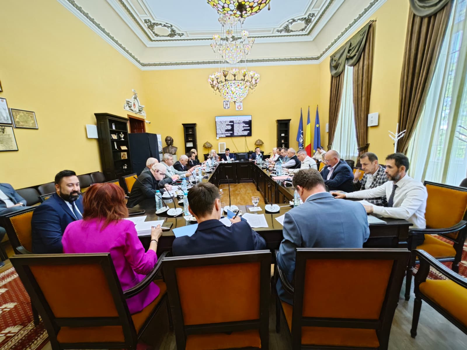 sedinta consiliul local botosani
