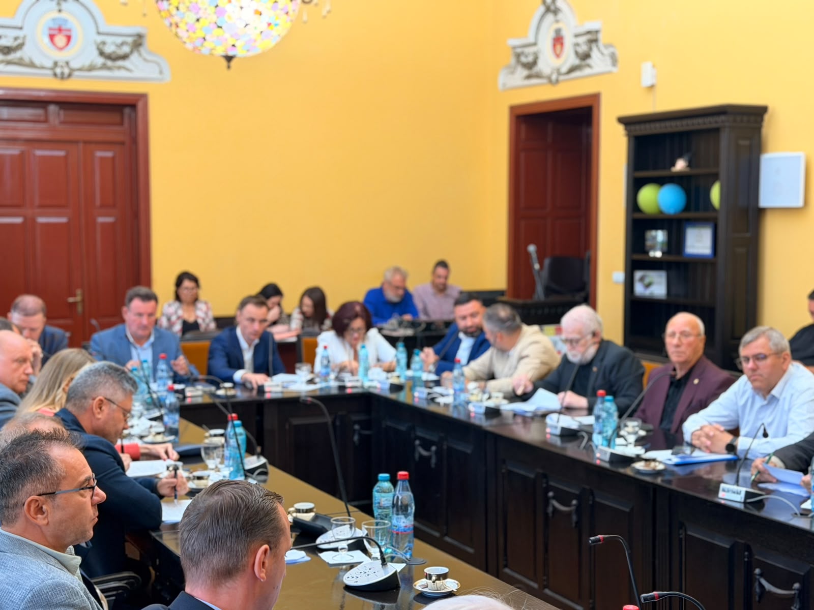 sedinta de consiliu local rectificare de buget