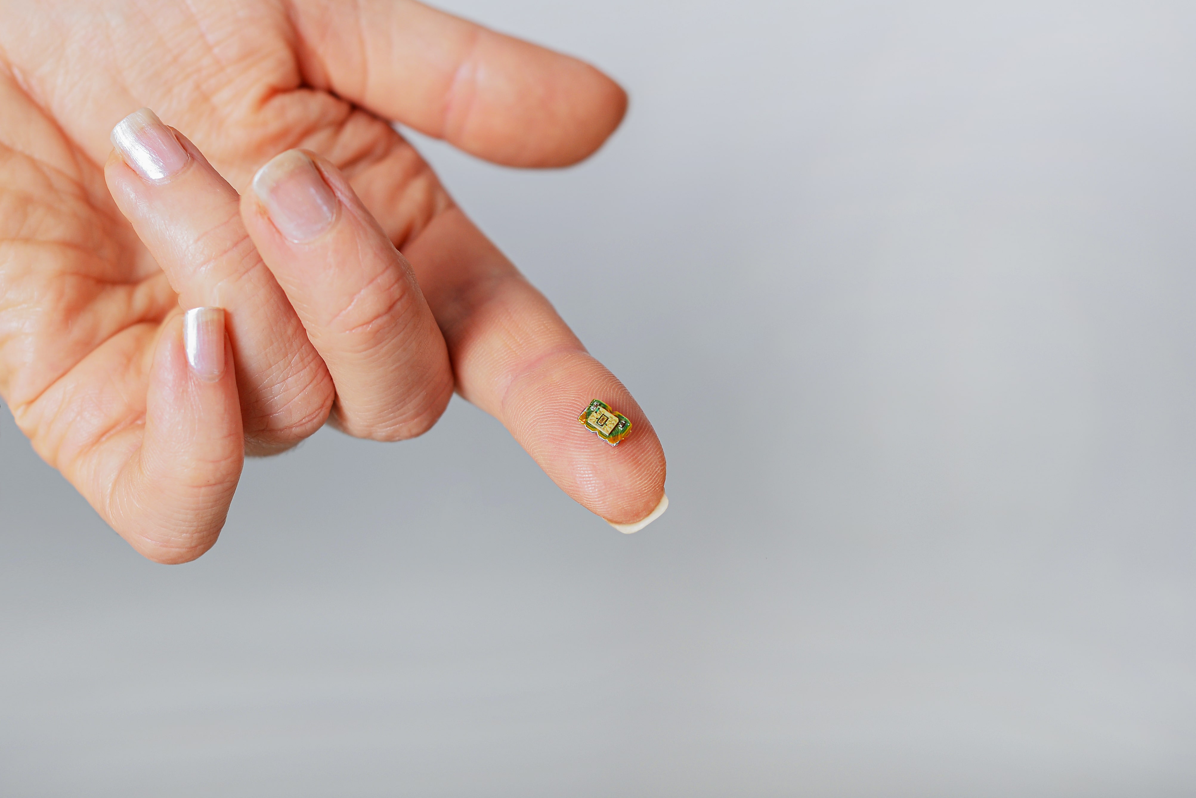 VIDEO: Microroboți minusculi, capabili să comunice și să se miște în apă, creați în premieră