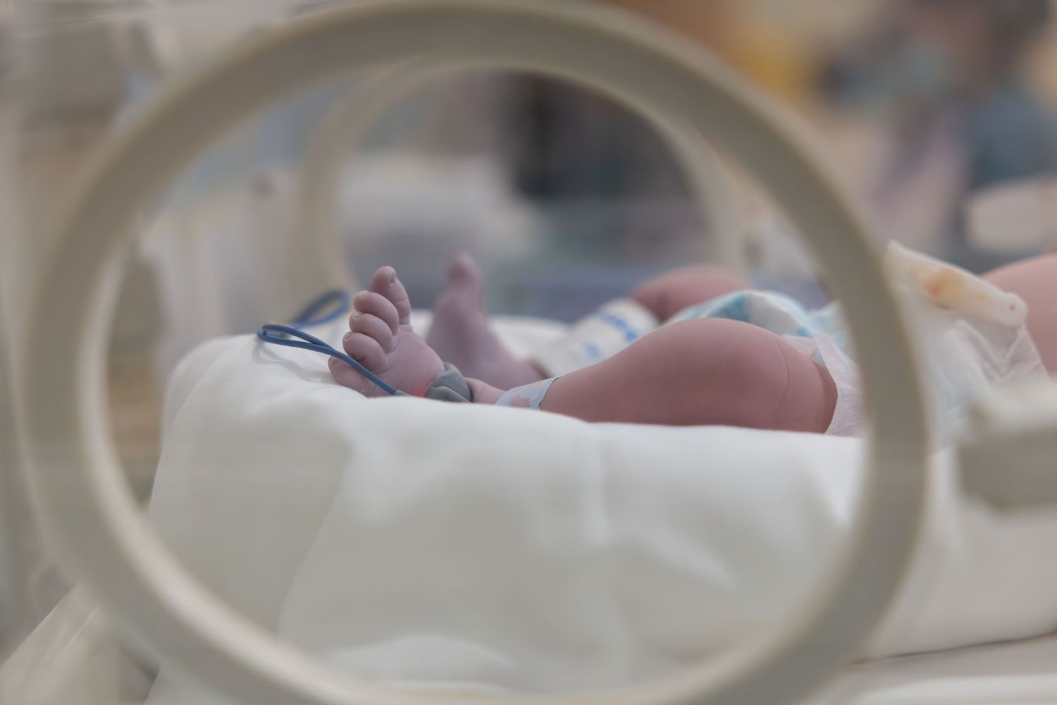 Taxa pe burlăcie: cea mai veche politică nouă din istoria declinului demografic. Care nu funcționează