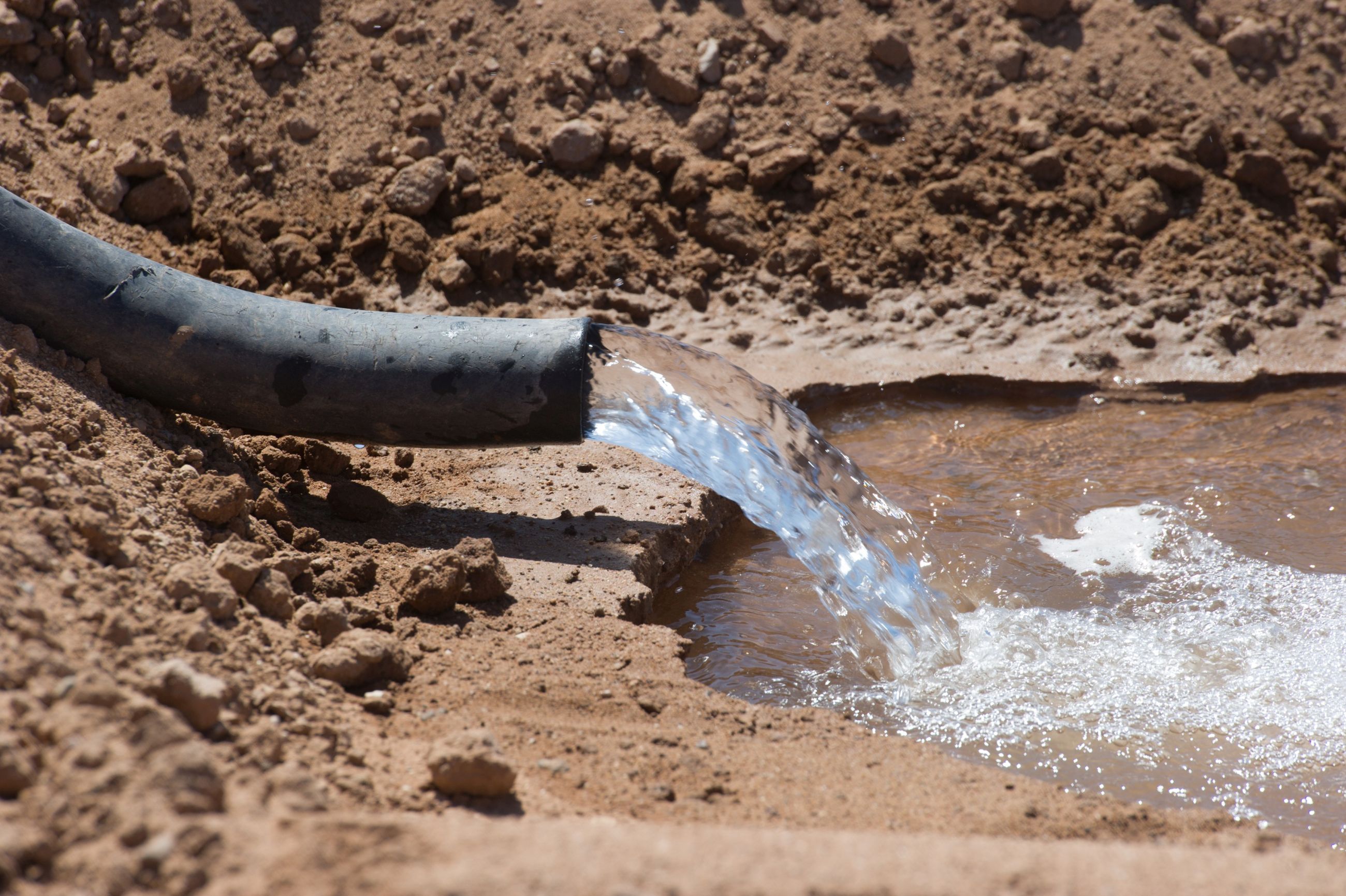 Agricultorii folosesc "machine learning" pentru a estima necesarul de apă al plantelor!