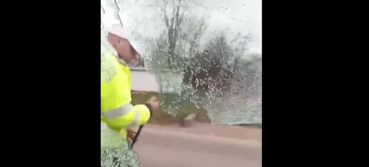 sofer scos cu forta din masina