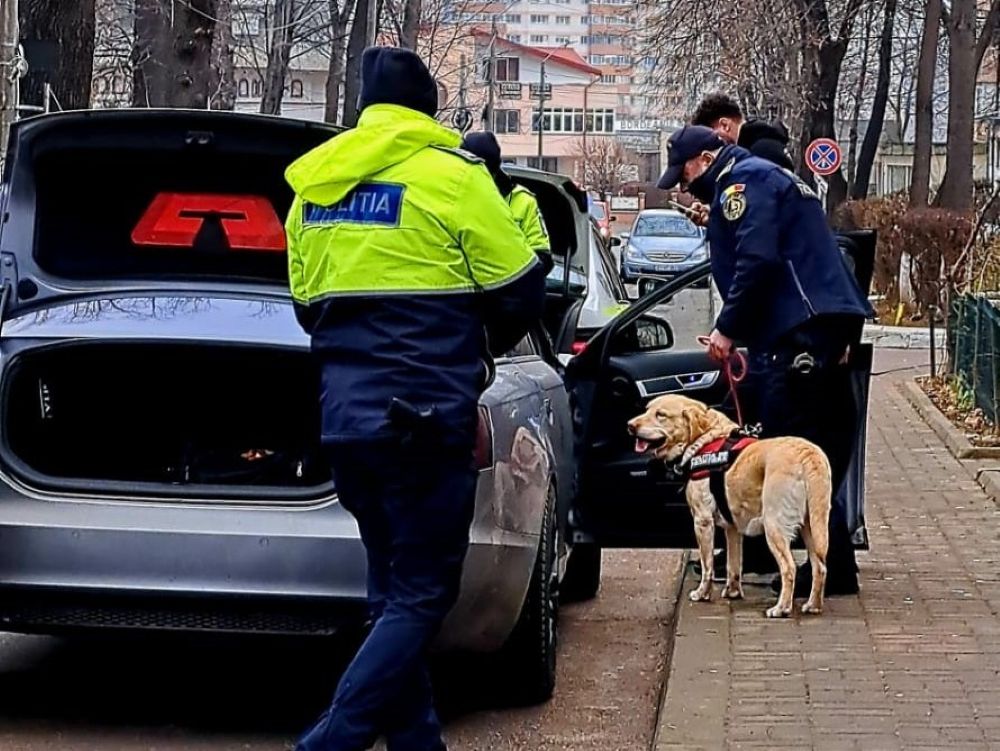 RAZIE în jurul școlilor: Elevi prinși chiulind de la ore, microbuze și mașini verificate