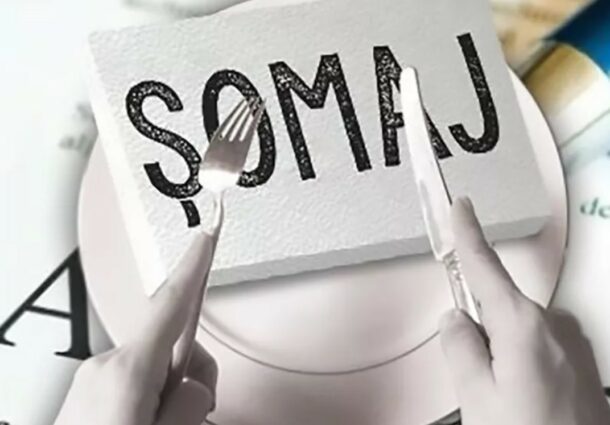 CÂȚI șomeri mai sunt oficial în județul Botoșani