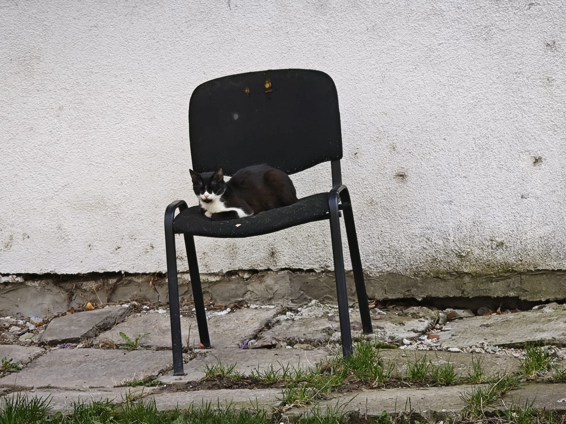 Poza zilei 20 martie 2024 