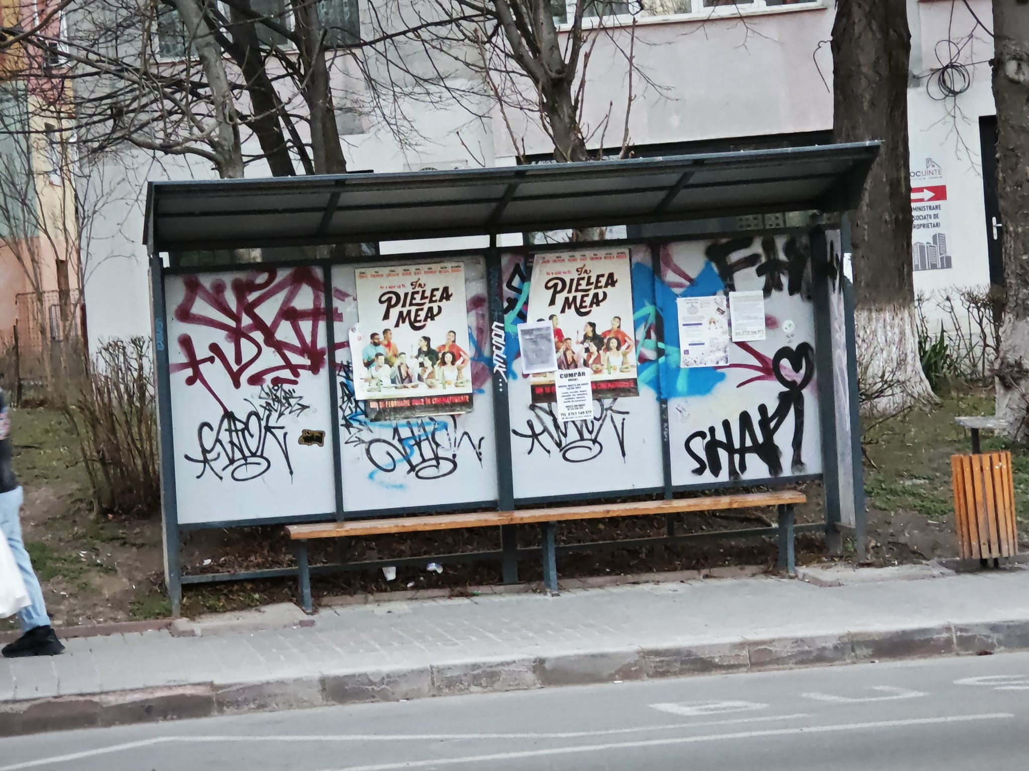 Poza zilei 19 martie 2026