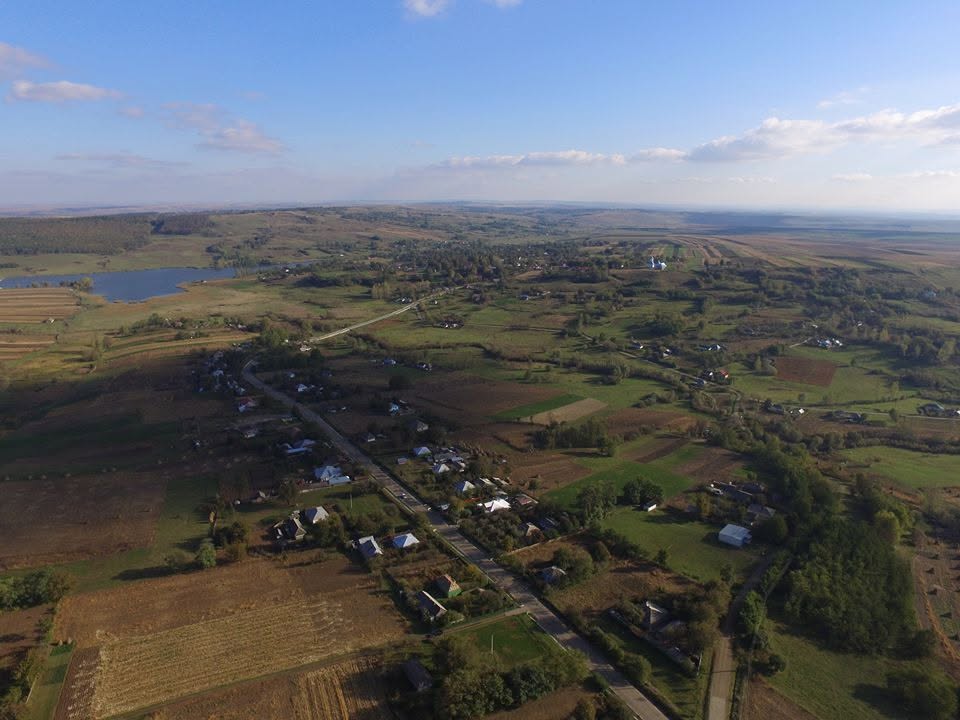 suharau licitatie casa si spatiu comercial