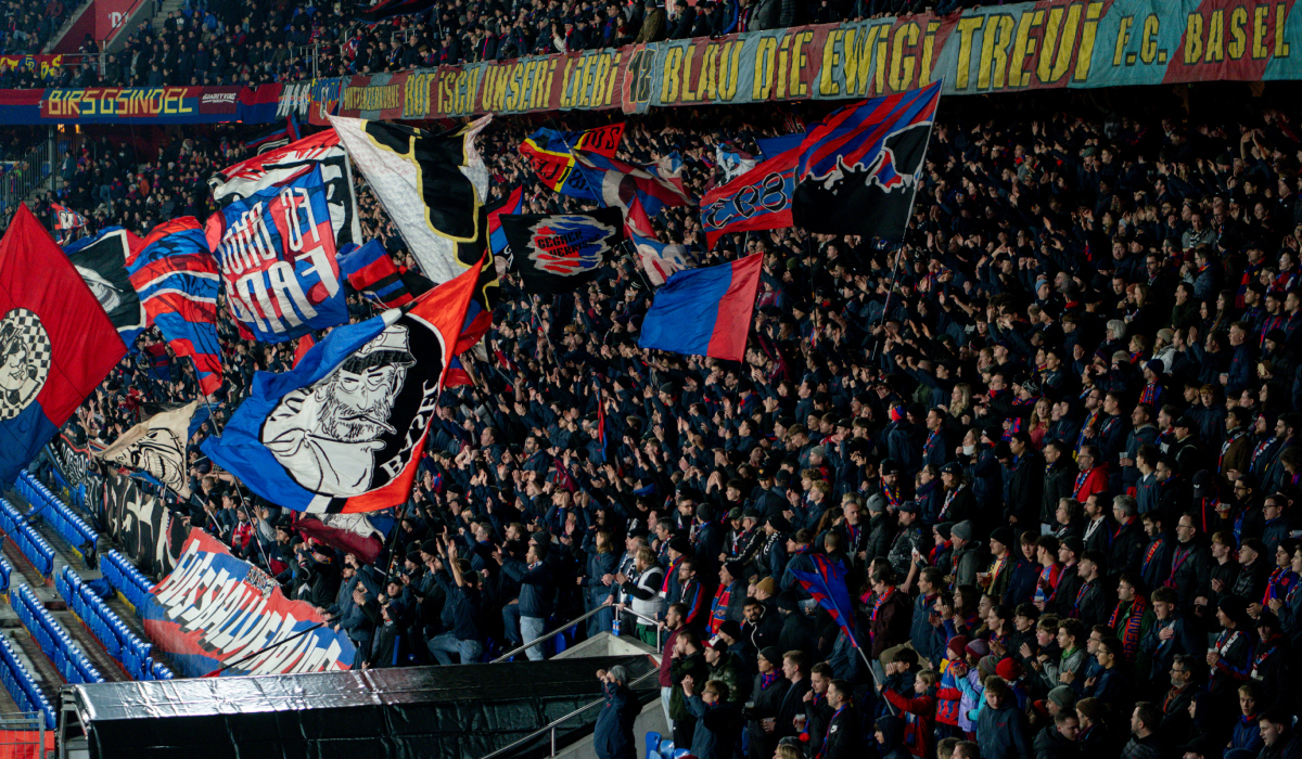 suporteri fcsb