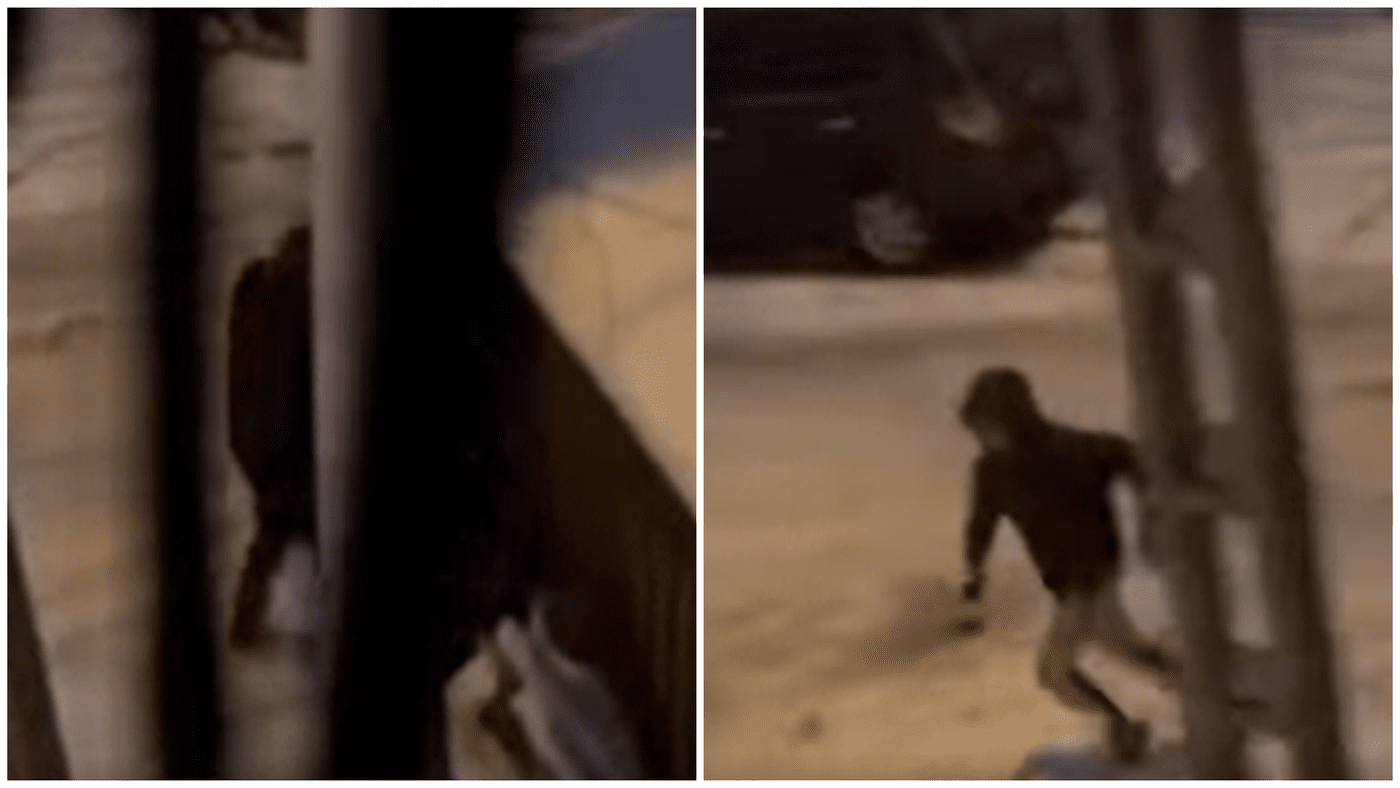 tanar retinut pentru furt