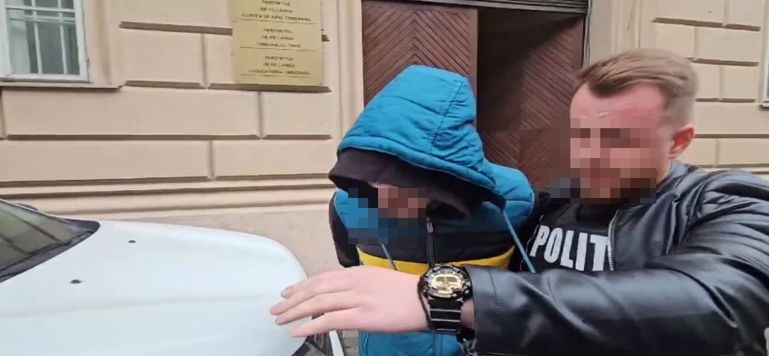 Tânăr reținut la Botoșani după furturi în gașcă  