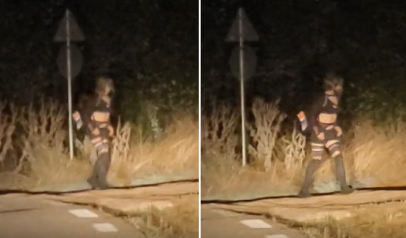 O suceveancă de 23 de ani a venit la Botoșani și a... dispărut