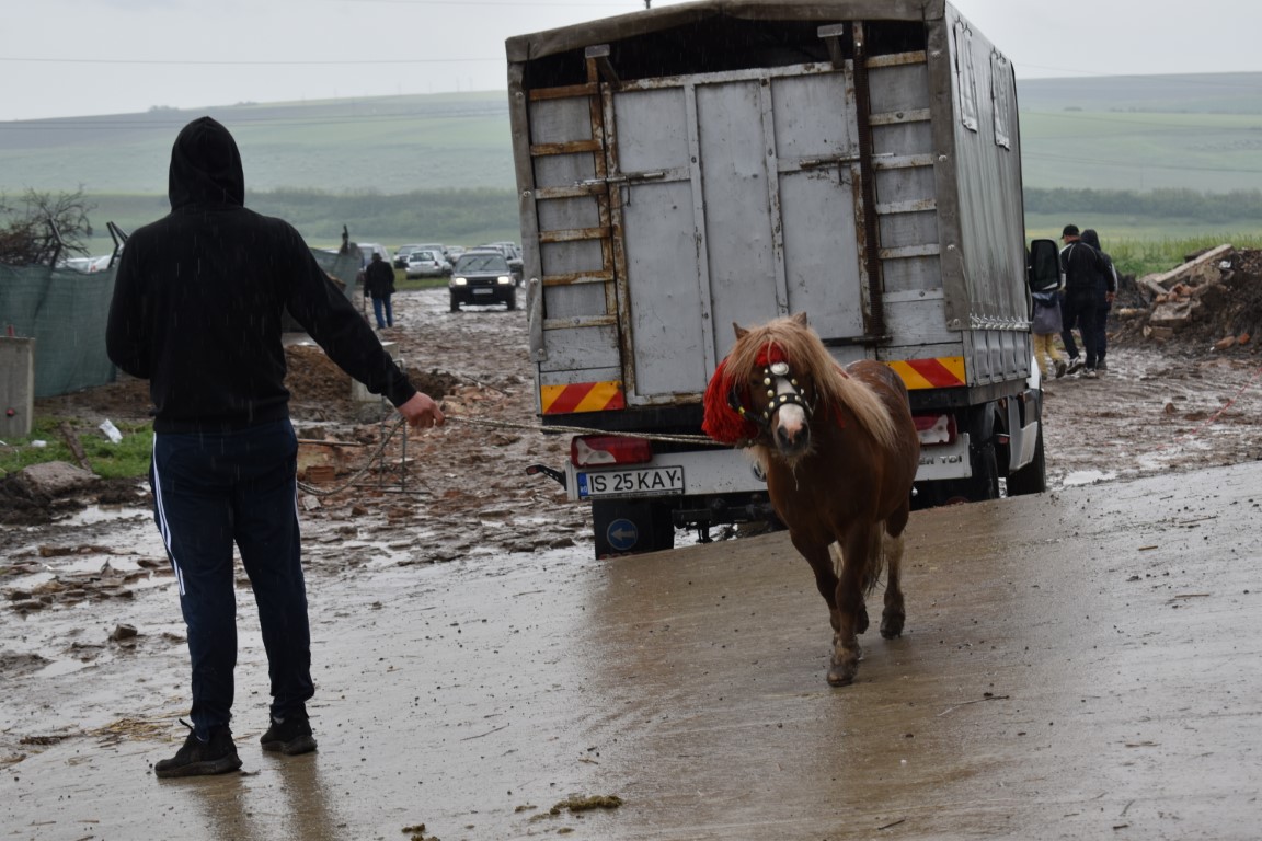 Poza zilei 14 mai 2025 