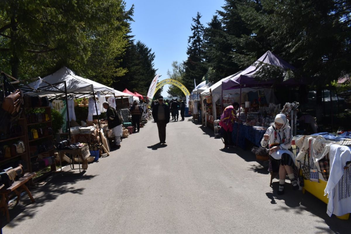 Gata PROGRAMUL pe zile și ore al Târgului Agro-Zoo, transport special cu microbuze din oraș la Stațiunea Popăuți