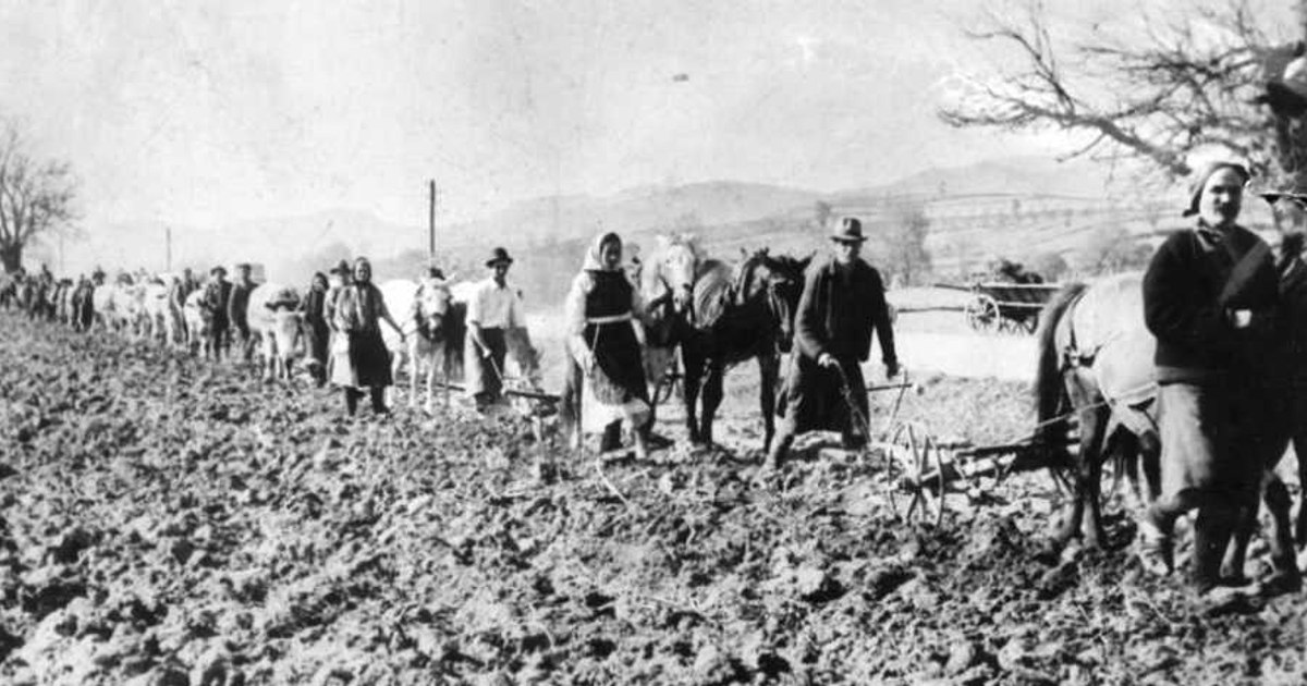terenuri confiscate de comunisti botosani