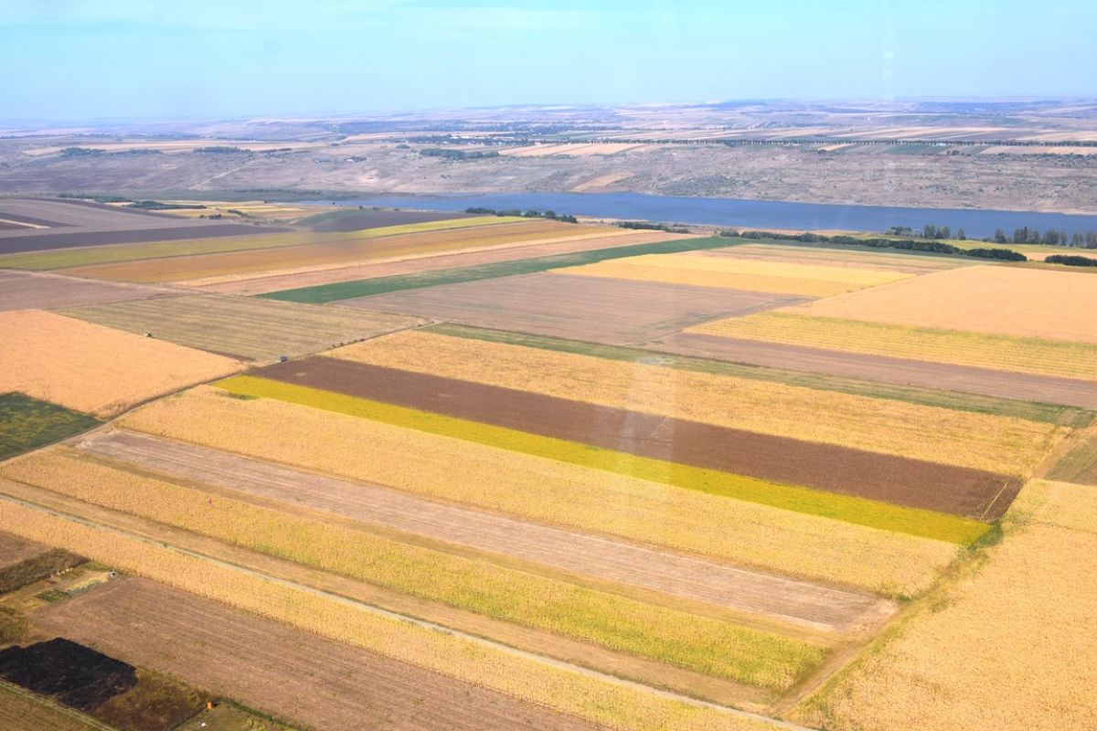 Botoșani, în topul județelor cu cele mai multe terenuri agricole vândute în luna ianuarie